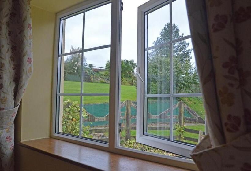 住宿加早餐  Bryn Hebog