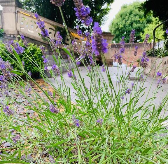 تختخواب و صبحانه Ferndale Mews