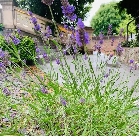 Aamiaismajoitus (B&B) Ferndale Mews
