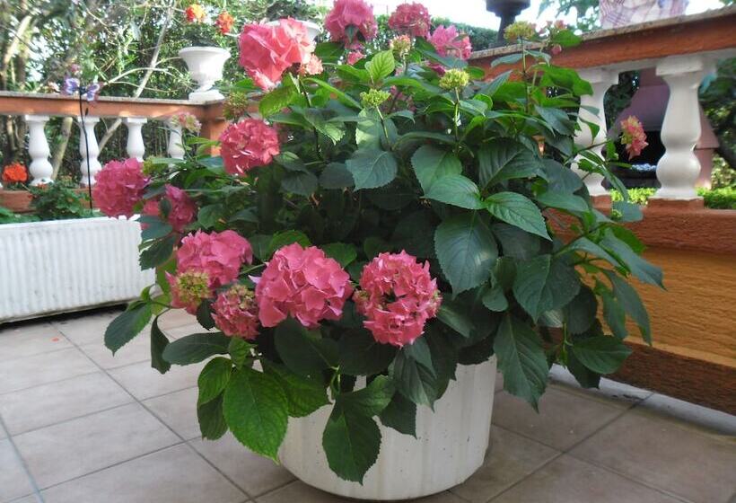 민박 Guesthouse Mira