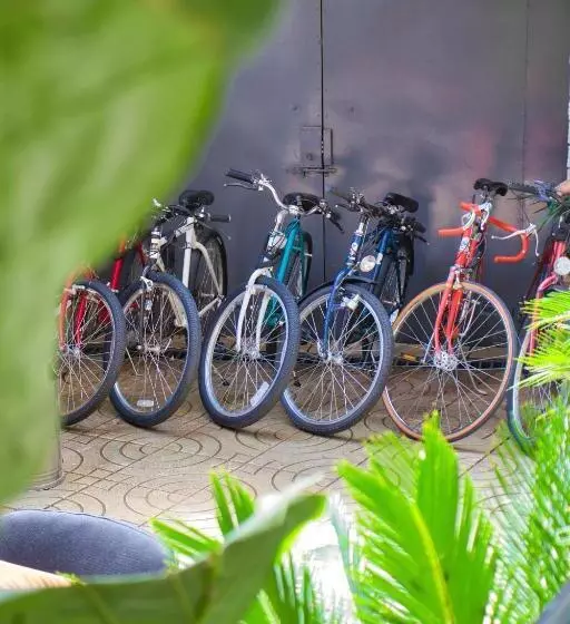 ホテル Shkodra Hostel & Day Tours