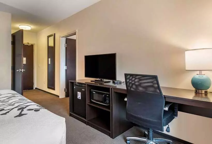 ホテル Sleep Inn & Suites Moab Near Arches National Park