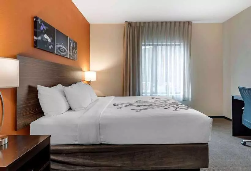 ホテル Sleep Inn & Suites Moab Near Arches National Park