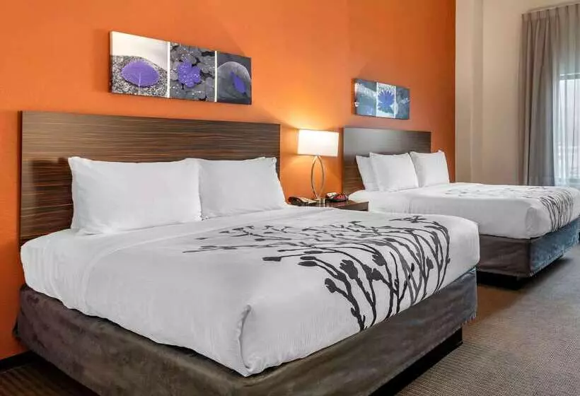 ホテル Sleep Inn & Suites Moab Near Arches National Park
