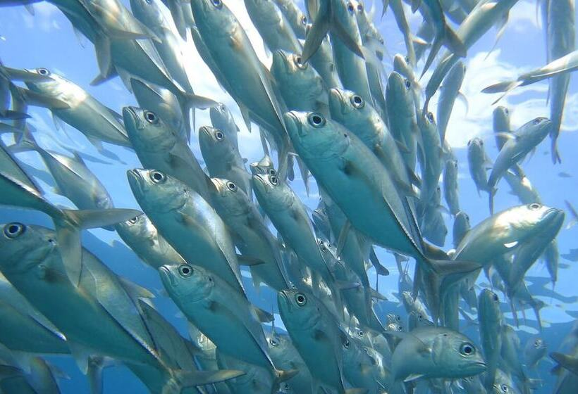 هاستل Martinas Place