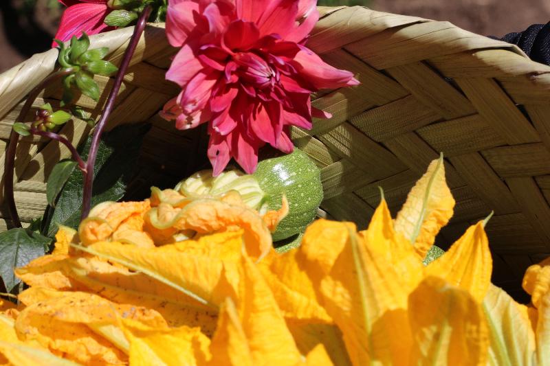 هتل Cartesiano Boutique & Wellness