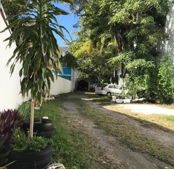 فندق Estrella Del Mar