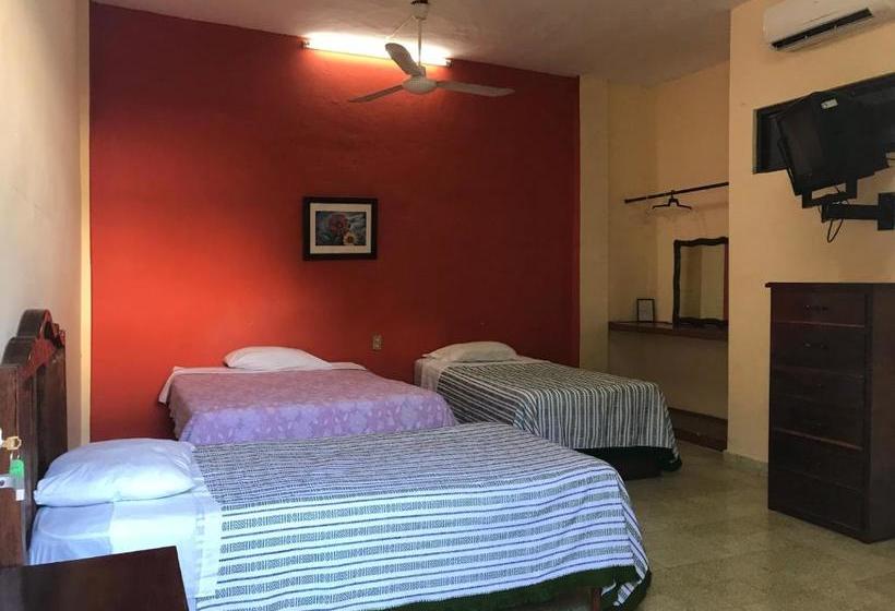 فندق Estrella Del Mar