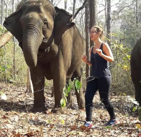 Lomakeskus Greenhouse Retreat