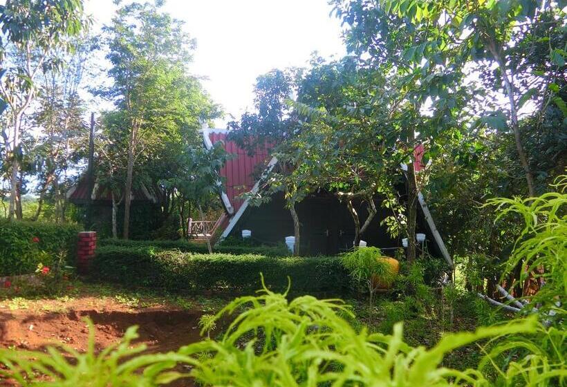 渡假胜地  Greenhouse Retreat