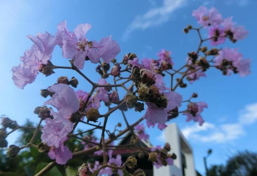 渡假胜地  Greenhouse Retreat