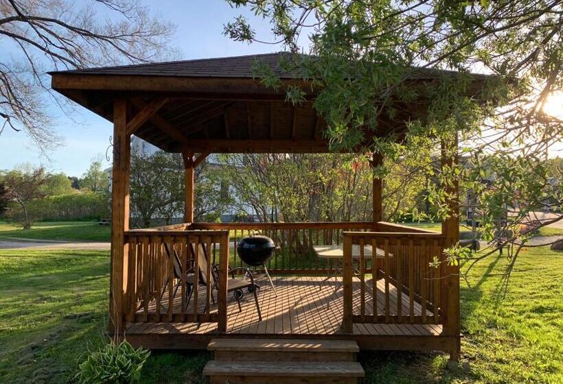 تختخواب و صبحانه Alma Shore Lane Suites & Cottages