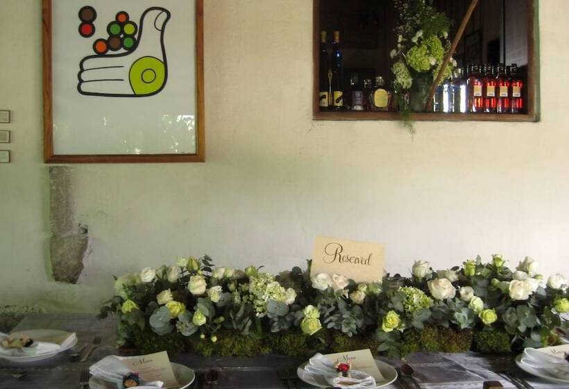 تختخواب و صبحانه Hacienda San Lucas