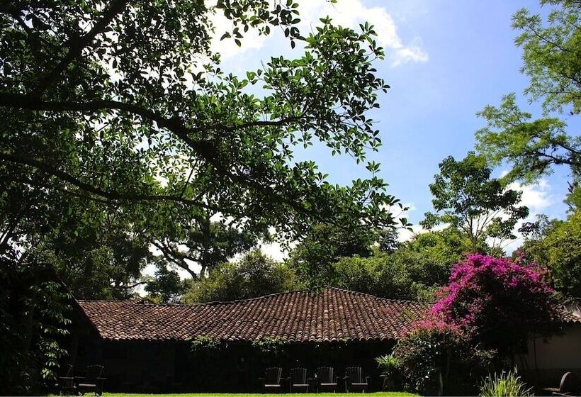 تختخواب و صبحانه Hacienda San Lucas