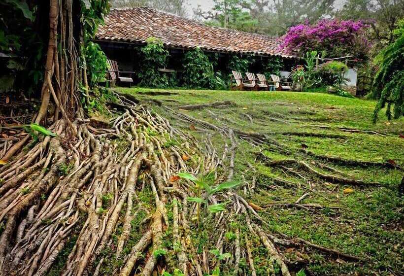 تختخواب و صبحانه Hacienda San Lucas