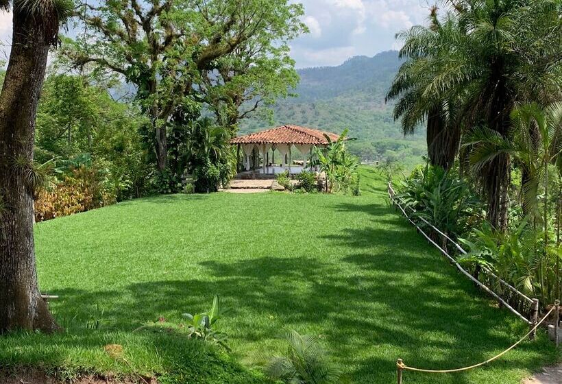 تختخواب و صبحانه Hacienda San Lucas