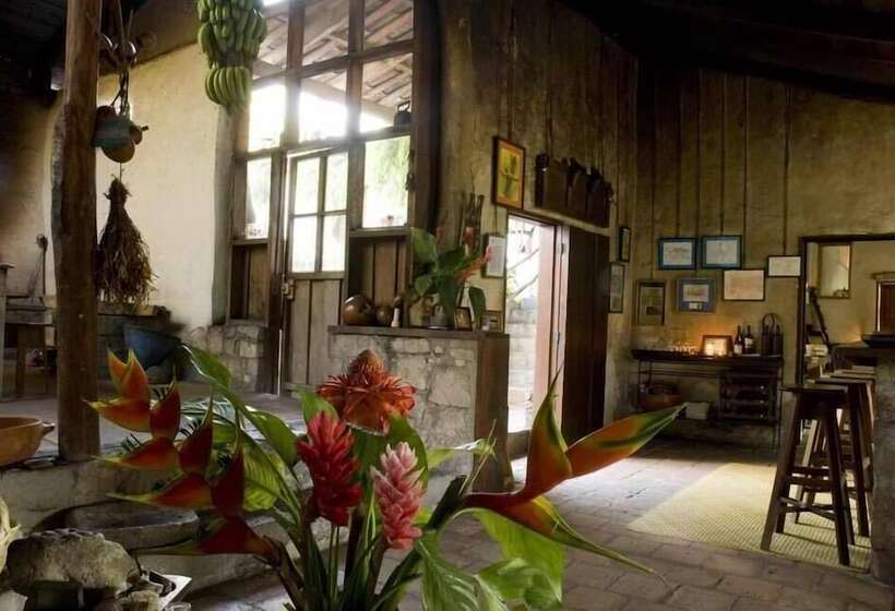 تختخواب و صبحانه Hacienda San Lucas