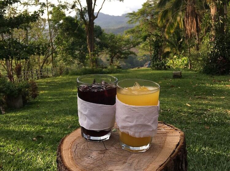 تختخواب و صبحانه Hacienda San Lucas