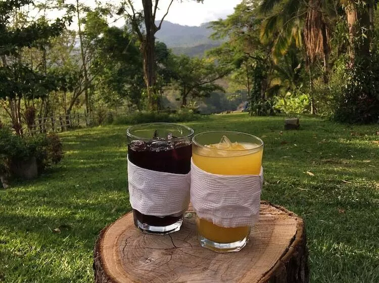 تختخواب و صبحانه Hacienda San Lucas