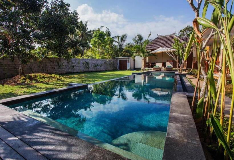 Hotel Walet's Paradise