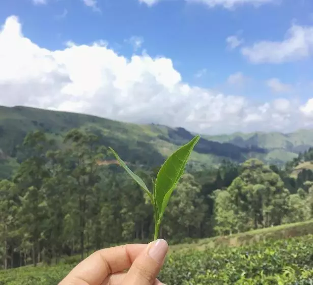Railway Lodge Hostel