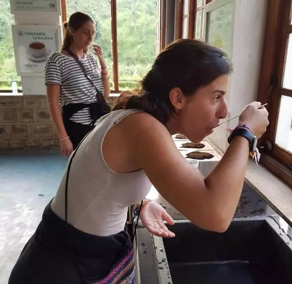 Railway Lodge Hostel