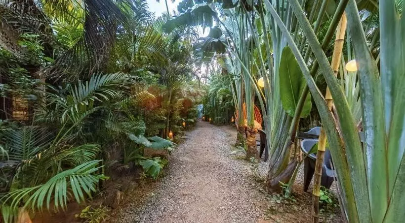 Resort Cinnamon