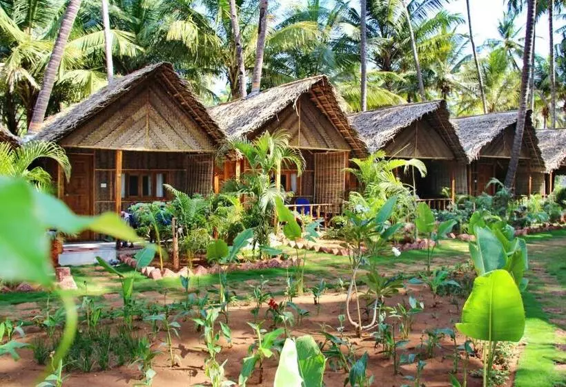 Resort Cinnamon