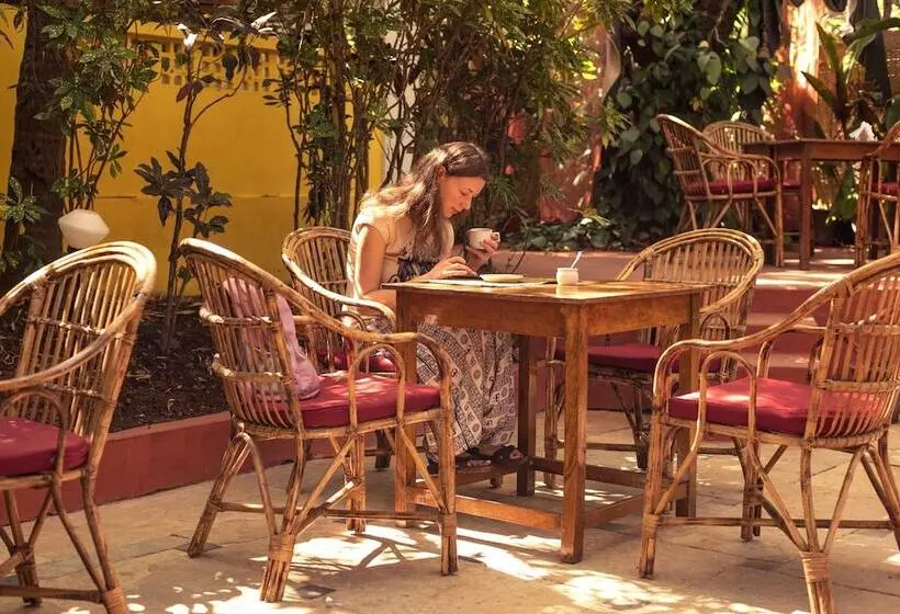 Bed and Breakfast Bean Me Up