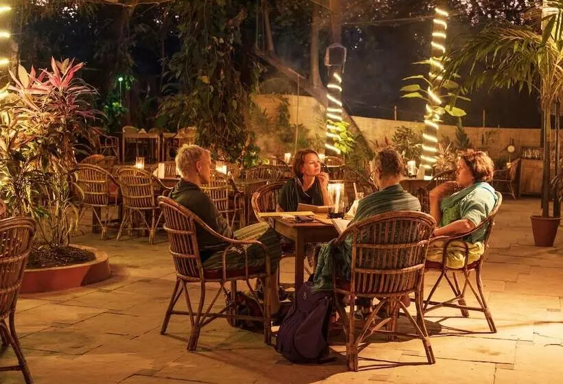 Bed and Breakfast Bean Me Up