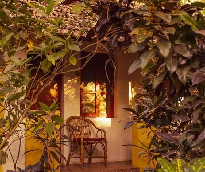 Bed and Breakfast Bean Me Up