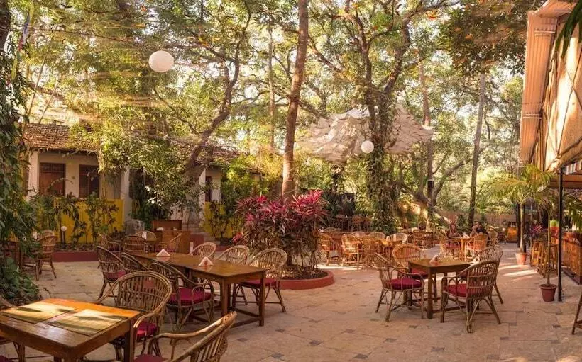 Bed and Breakfast Bean Me Up