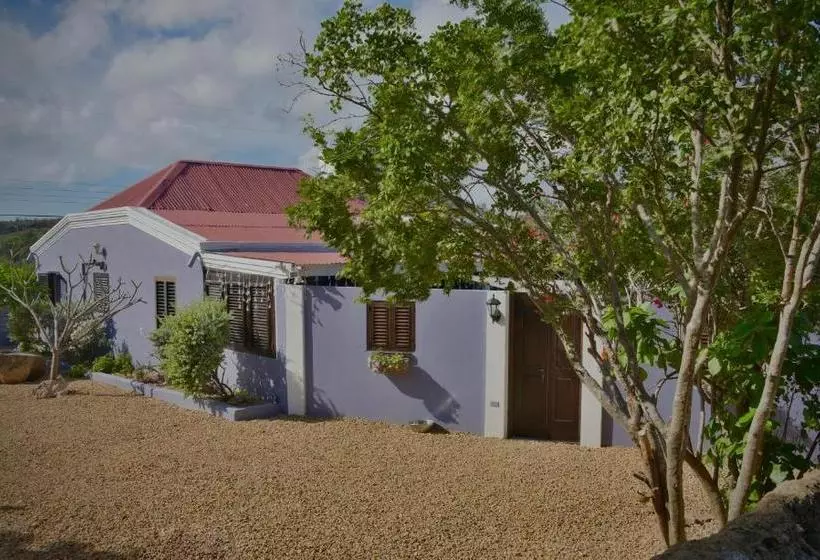 تختخواب و صبحانه Mammaloe