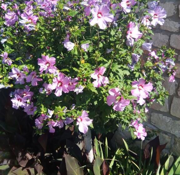 فندق La Font De Lauro