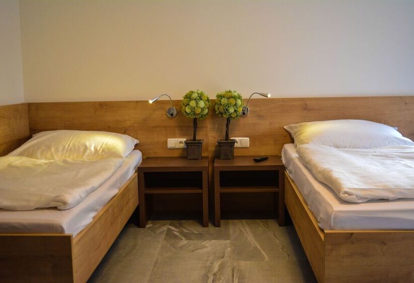 Отель Wels Inn