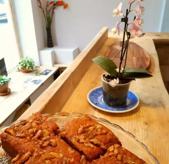 Retkeilymaja Ty Glyndwr Bunkhouse, Bar And Cafe