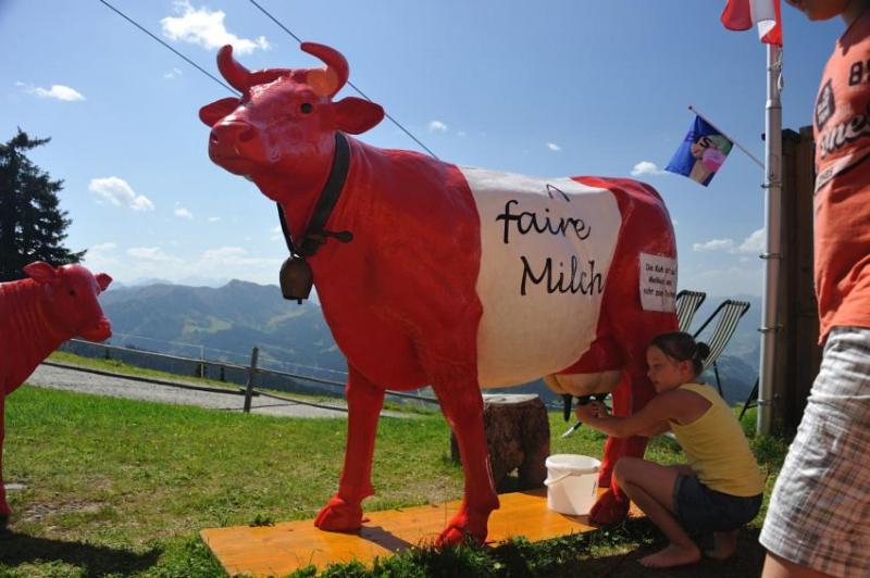 בית מלון כפרי Gasthof Kogelalm