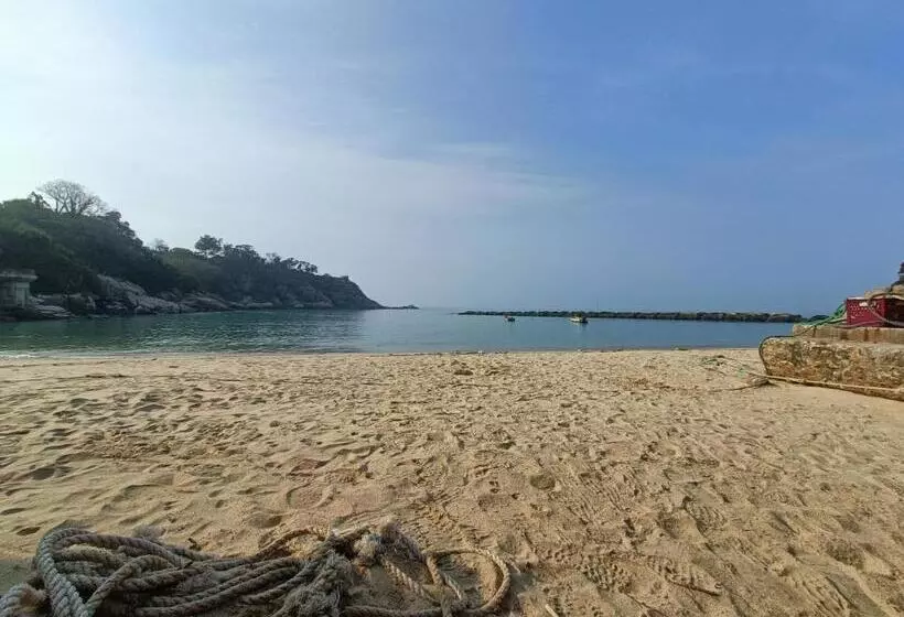 هاستل 馬祖津沙背包客棧 Jinsha Backpacker Inn