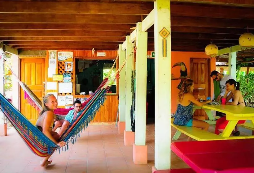 Hostel Mariposas