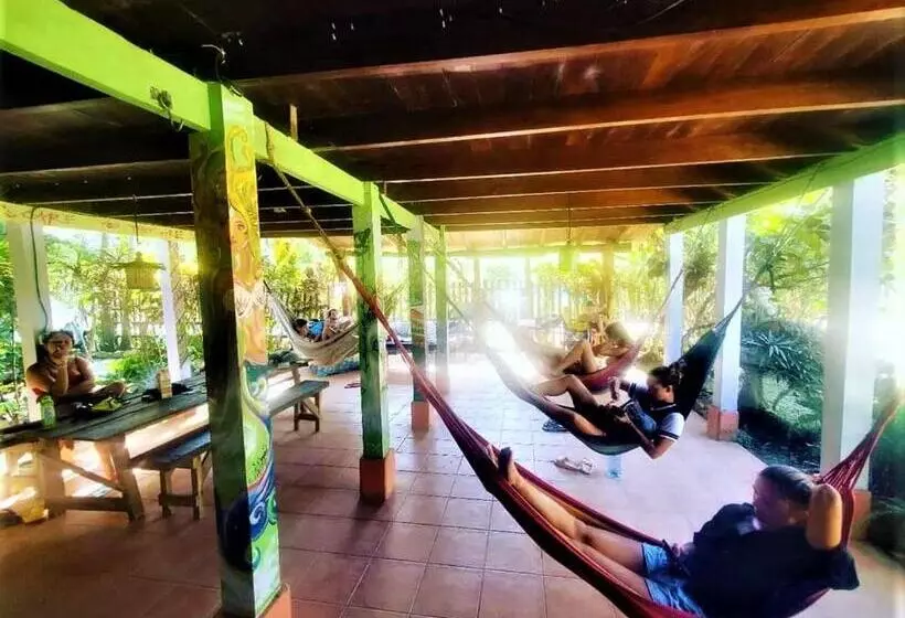 Hostel Mariposas