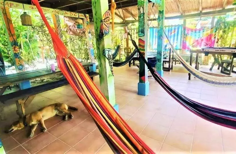 Hostel Mariposas