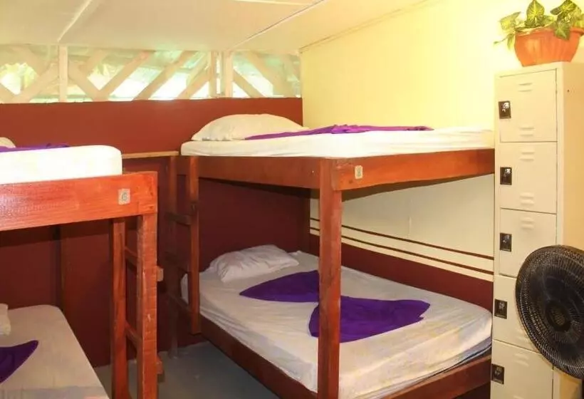 Hostel Mariposas