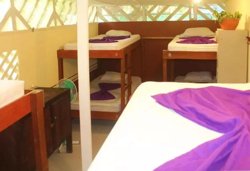 Hostel Mariposas
