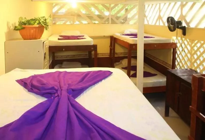Hostel Mariposas