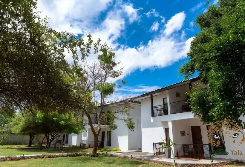 Hotelli Arana By Forest Trails