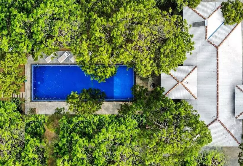 Hotelli Arana By Forest Trails