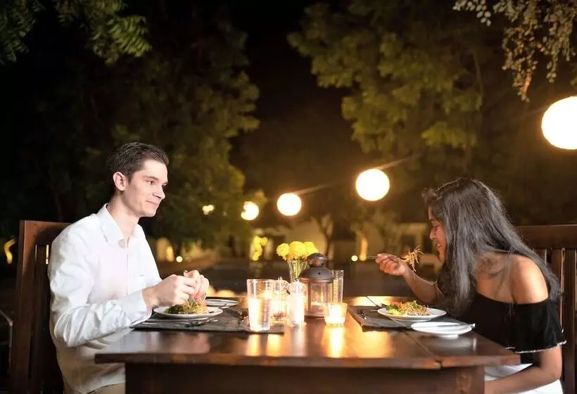 Hotelli Arana By Forest Trails