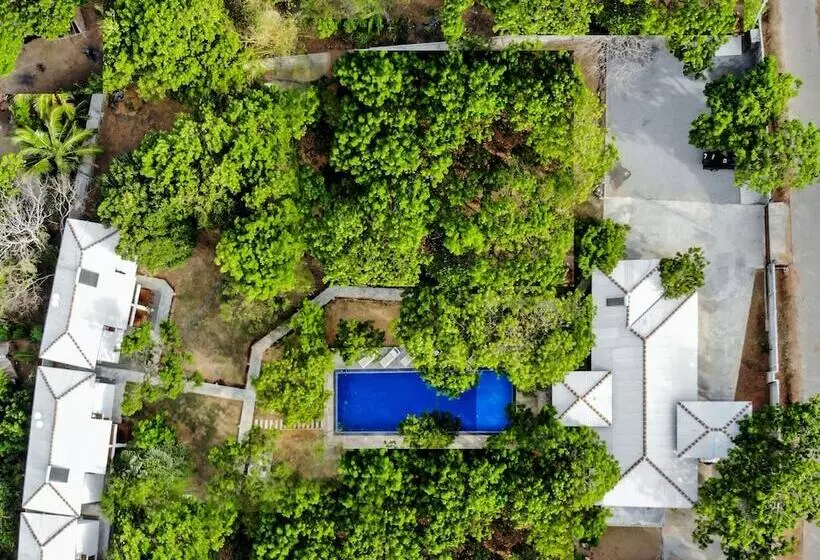 Hotelli Arana By Forest Trails