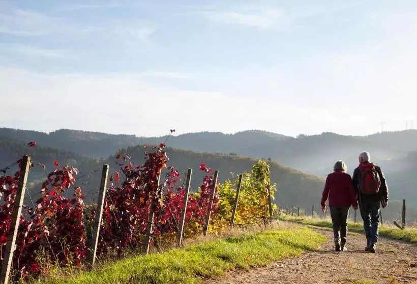 Hotelli Gasthaus Adler