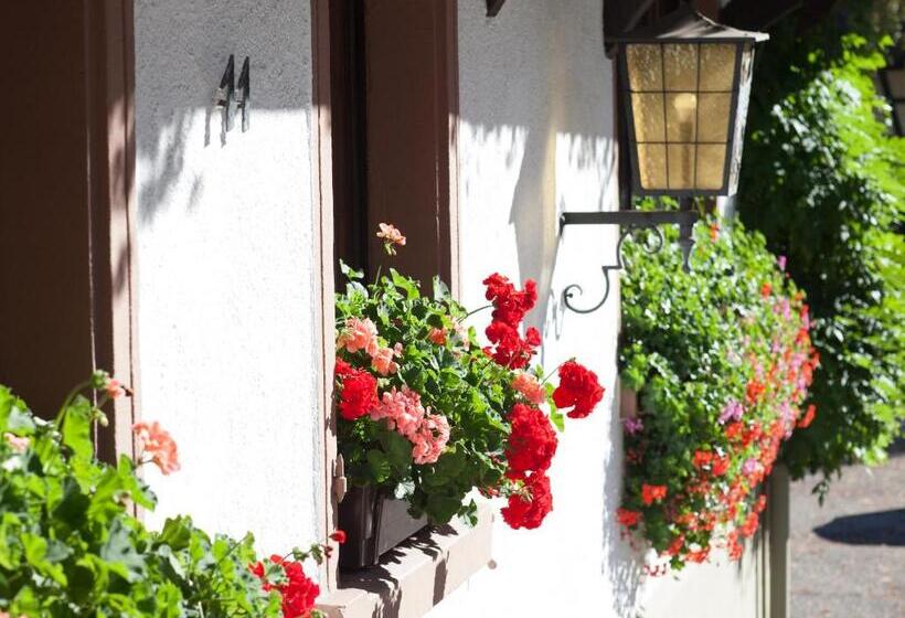 호텔 Gasthaus Adler